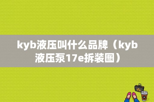 kyb液压叫什么品牌（kyb液压泵17e拆装图）