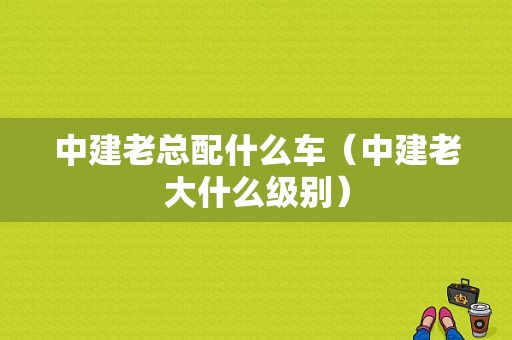 中建老总配什么车（中建老大什么级别）