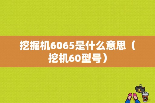 挖掘机6065是什么意思（挖机60型号）