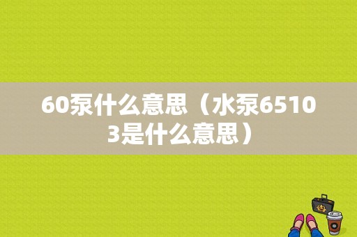 60泵什么意思（水泵65103是什么意思）