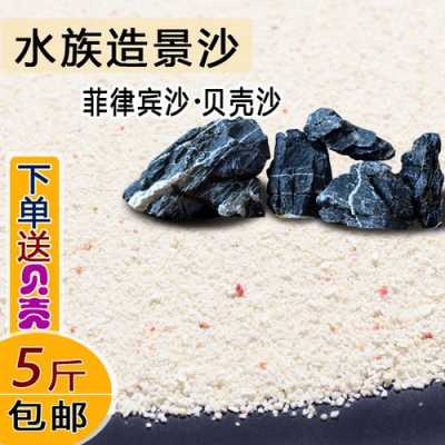 贝壳沙配什么石头（海边的沙石贝壳可以放鱼缸里吗）