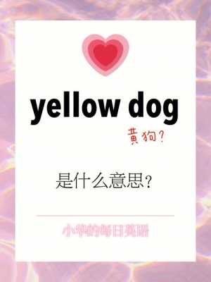 yellowtable什么意思（yellow是什么意思中文）