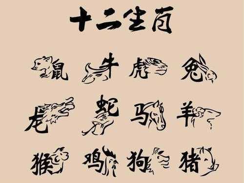 掘可以什么生肖（掘什么生肖数字）