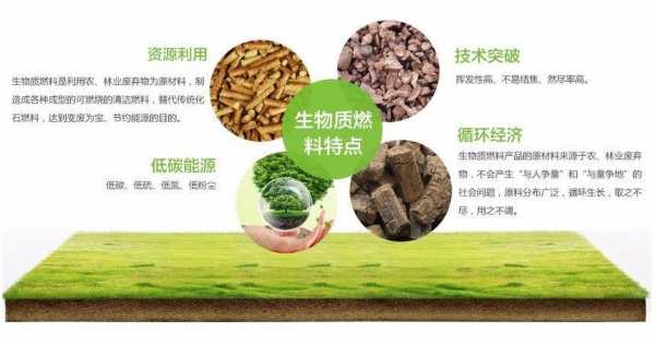 生物质燃烧为什么是零排放（为什么生物质燃料碳排放为零）