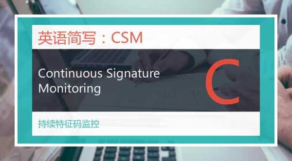 工程上的csm是什么意思（csm是什么意思的缩写）