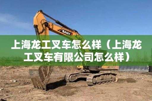 上海龙工主要做什么（上海龙工怎么样?）