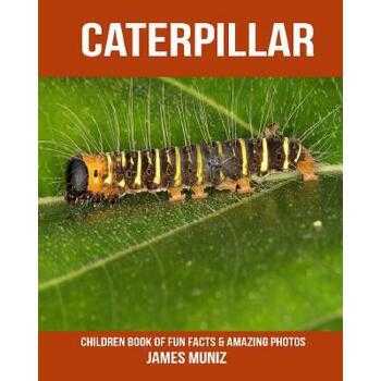 caterpillar什么国家（caterpillae）