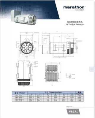 马拉松发电机有什么型号（马拉松发电机线路图）