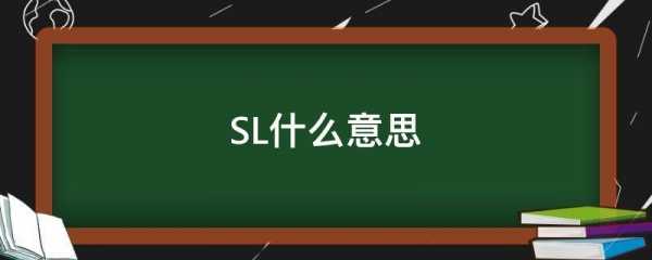 slWn什么意思（sloshing是什么意思）