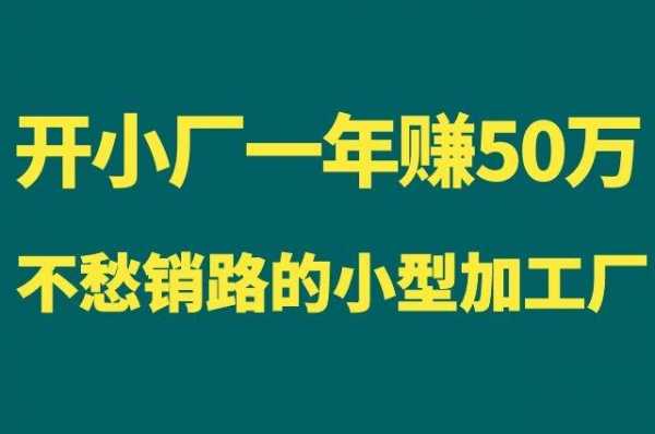 50万开什么厂（50万开什么公司挣钱）