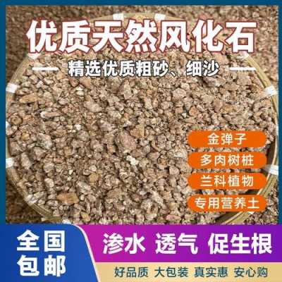 风化沙可以做什么产品（风化沙可以建房用吗）