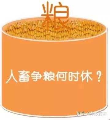 以草代粮什么意思（以草代粮战略）