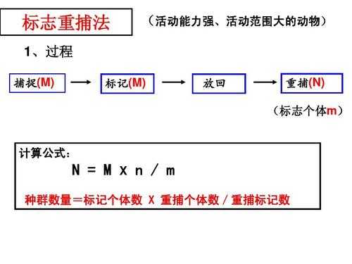 标志重铺法是什么（标志重捕法和样方法的优缺点）