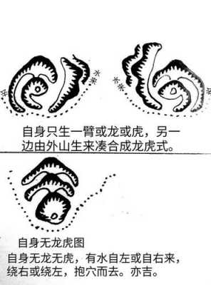 虎砂石是什么（虎砂是什么意思）