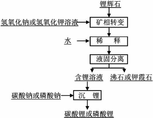 锂石提炼需要什么元料（锂辉石提取锂）