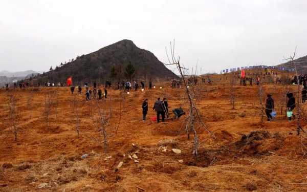 为什么不把山推平（为什么不把荒山推平）