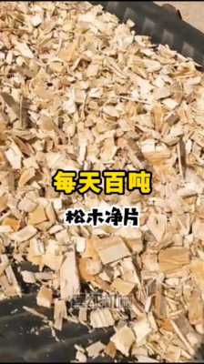 造纸厂用木片做什么（造纸厂用木片做什么好）