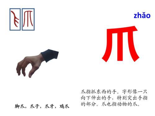 带爪子什么意思（带爪子的字）