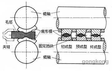 辊型由什么综合组成（辊型由什么综合组成而成）