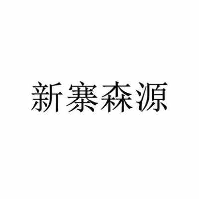 什么叫新森源（什么叫新森源公司啊）