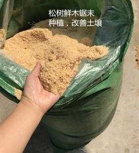 锯糠屑是什么（锯木糠种花怎样）