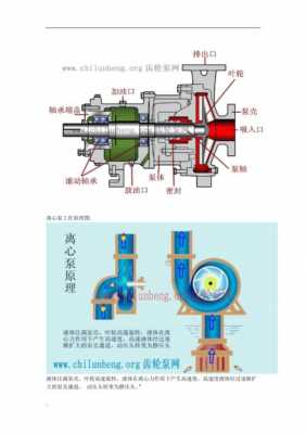 主泵调节器作用是什么意思（主泵的结构图）