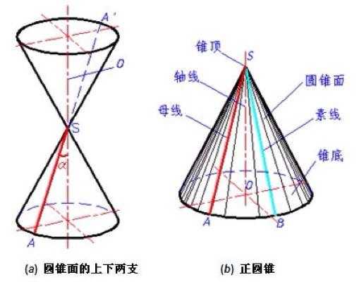 圆锥只有一腔是什么（圆锥的一半叫什么）