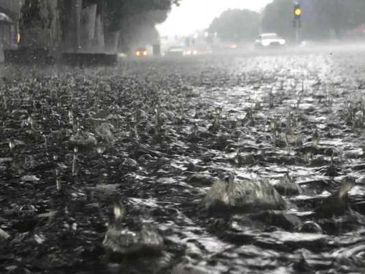 大雨什么时候改成斗山的（大雨是什么程度）