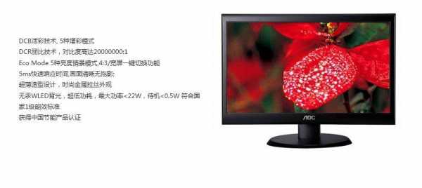 e950sw是什么屏（e950sn显示器190lm00006）