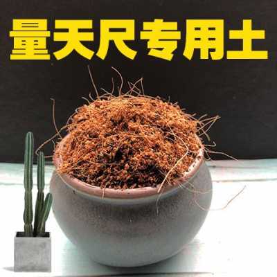 什么土制砂好（适合砂质土的植物）