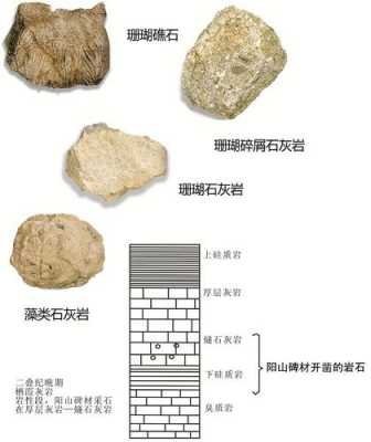 石灰岩的用途是什么（石灰岩主要用途）