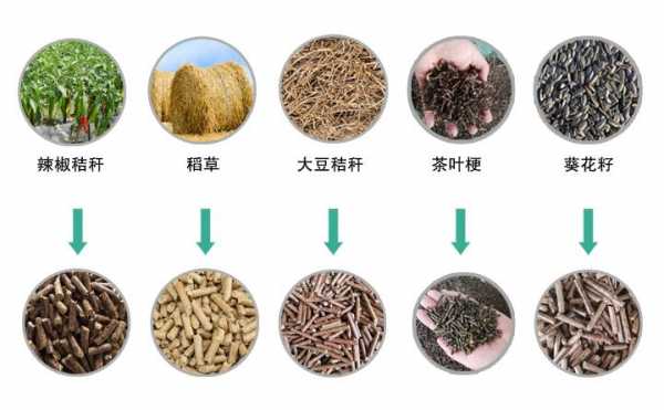 生物颗粒属于什么分类（生物颗粒用途有哪些）