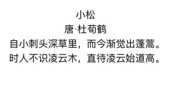 小松字什么地方（小松是哪首诗）