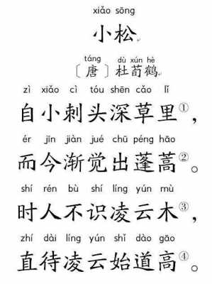 小松字什么地方（小松是哪首诗）