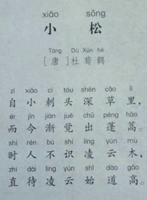 小松字什么地方（小松是哪首诗）