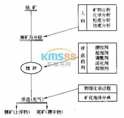 浮选可以分选出什么（浮选过程分为哪几个阶段）