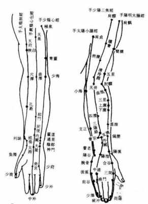 大臂小臂连接处叫什么（小臂和大臂连接处）