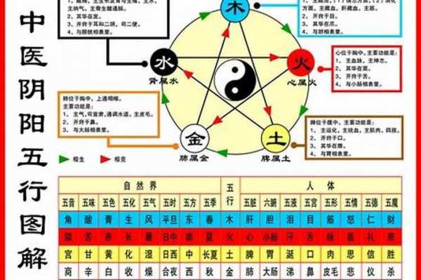 机属于五行属什么（机械属于五行）