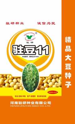 巩义有什么大豆种（河南高产大豆种子）