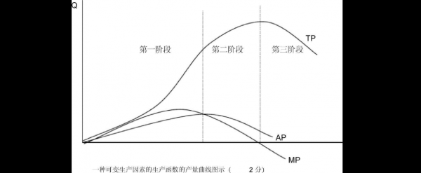 tph是什么单位产量（tp总产量英文）