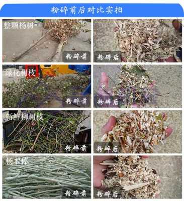 树枝粉碎后做什么用的简单介绍