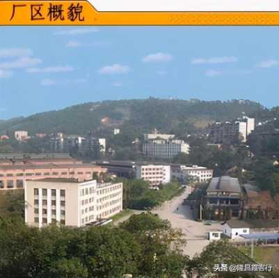 嵩山机械厂是干什么的（国营嵩山机械厂改造规划）