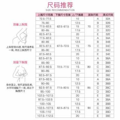 36lb什么意思（36b是什么尺寸）