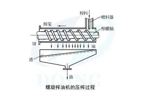 螺旋榨油机是什么（螺旋榨油机榨油原理）