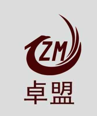 zlm是什么牌子（zm是啥牌子）