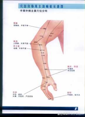 大臂里面叫什么（大臂内测是什么经络）