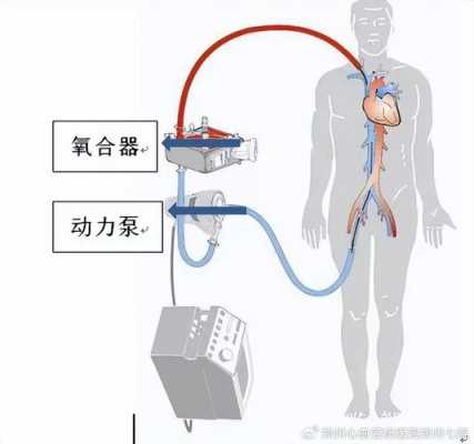 卡特ecm是什么（卡特ecm原理图）