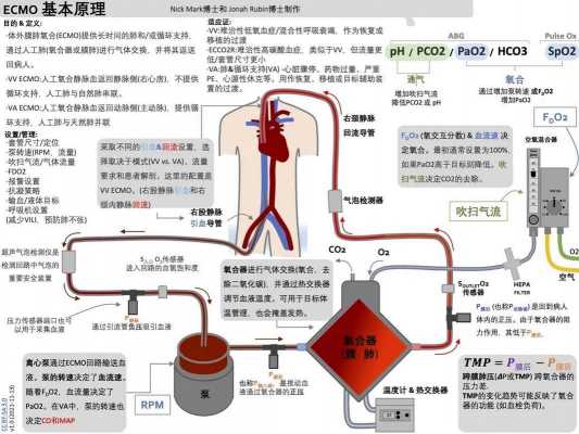 卡特ecm是什么（卡特ecm原理图）