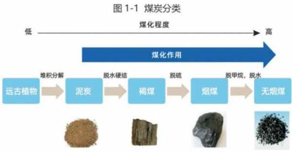 中焦煤炭指的是什么煤（焦煤和中煤的区别）